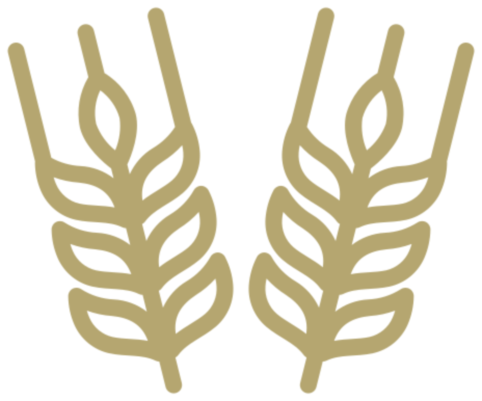 Stylized wheat icon design