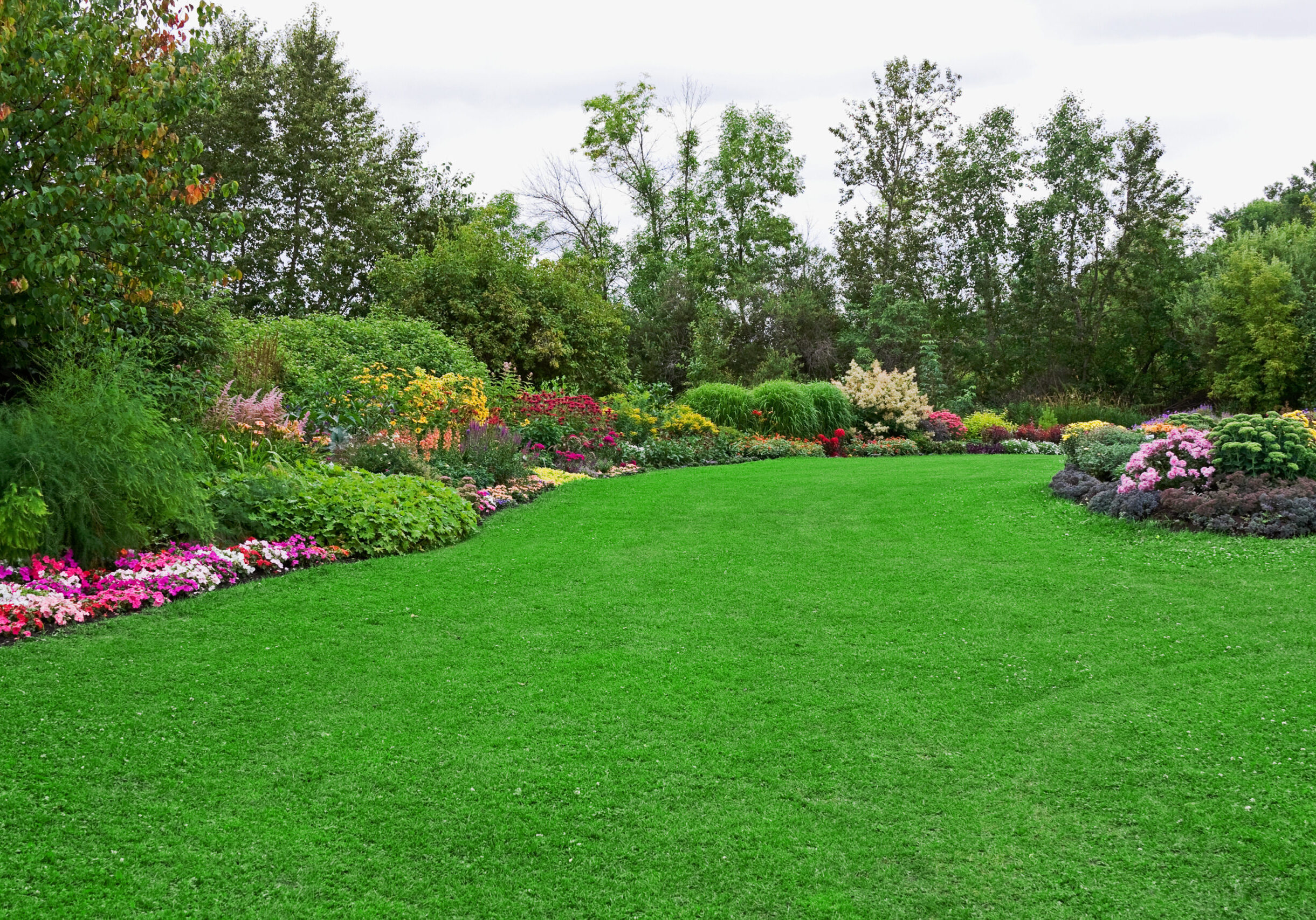 Scenic garden with diverse blooming flowers