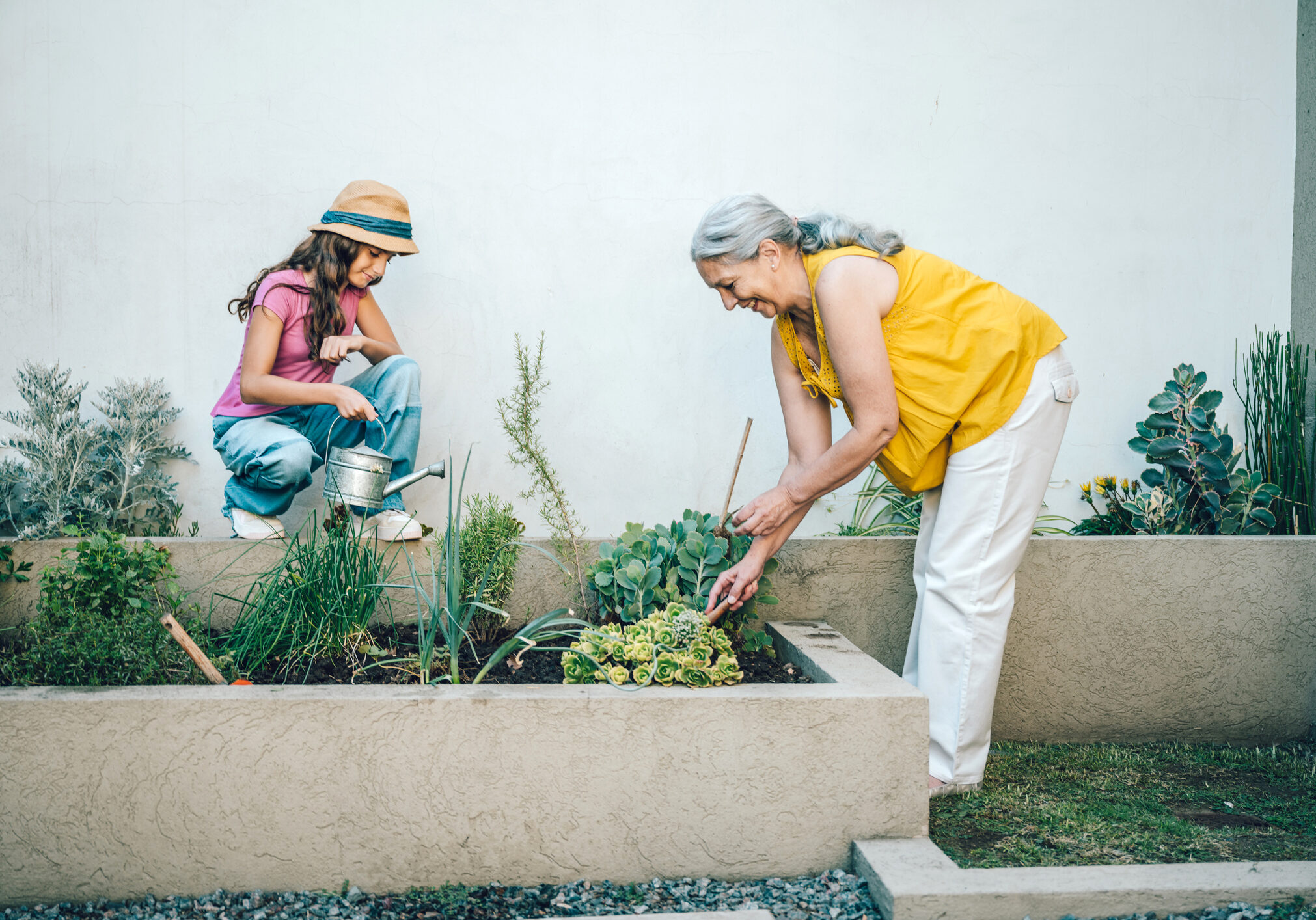 Grandmother and granddaughter gardening together in front yard