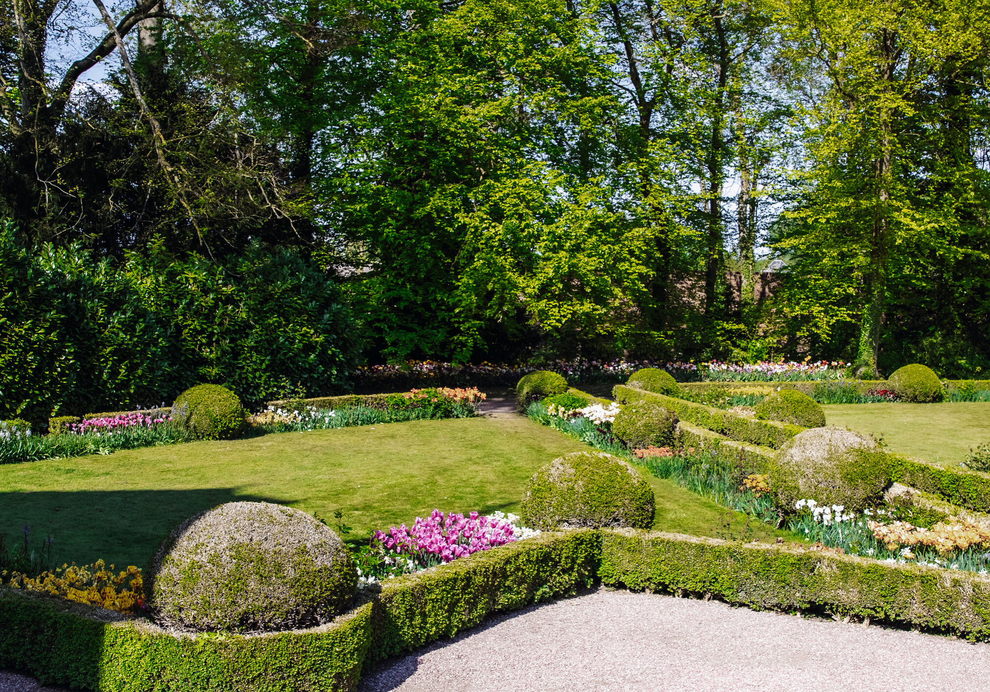 View of bushes with lawns and flowers in the park.