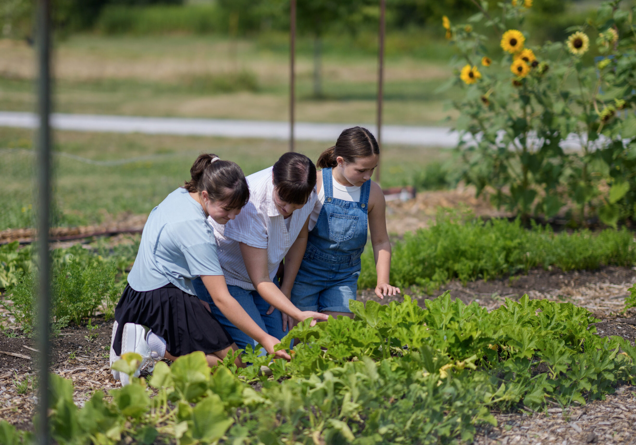 Family tending plants in a sunny garden.